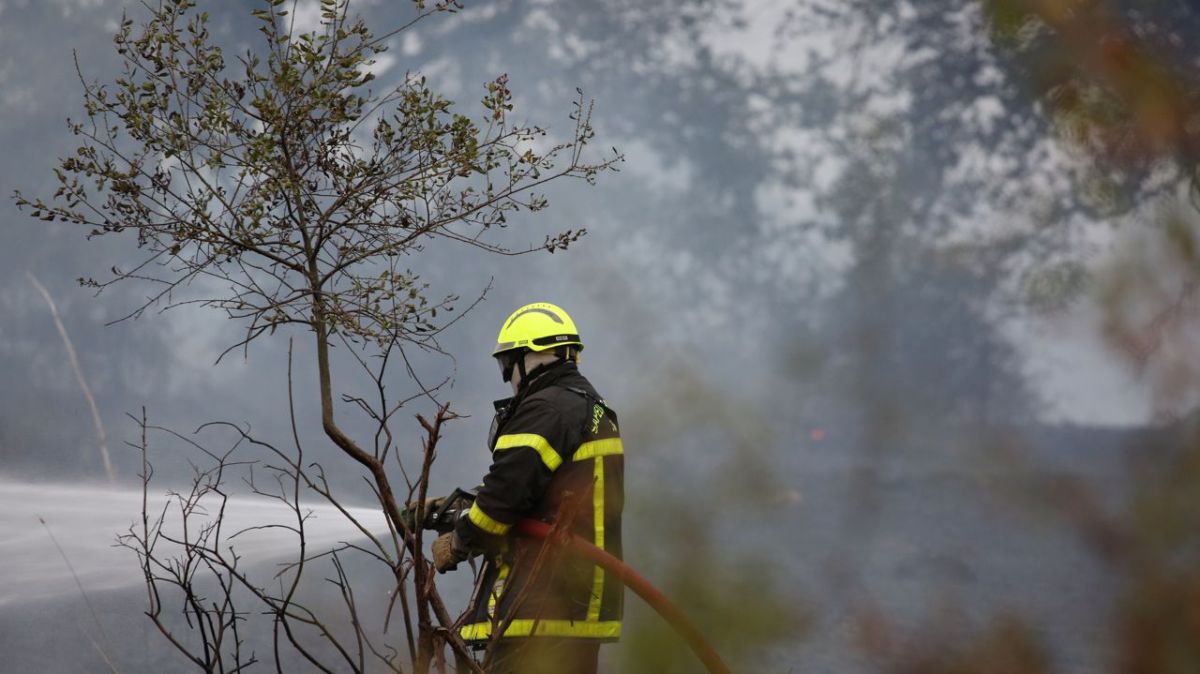 Incendie à Neuville-sur-Brenne : dix hectares de récoltes détruits