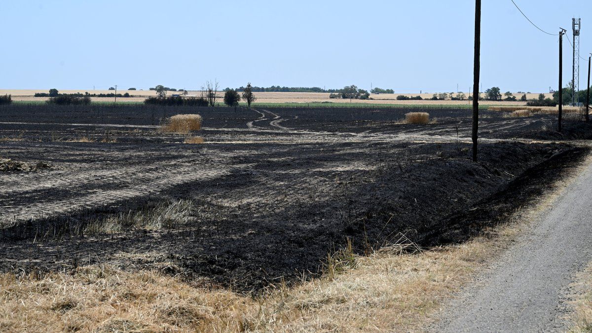 Canicule : jusqu’à 38 °C attendus dans le Sud, six départements sous alerte maximale aux incendies
