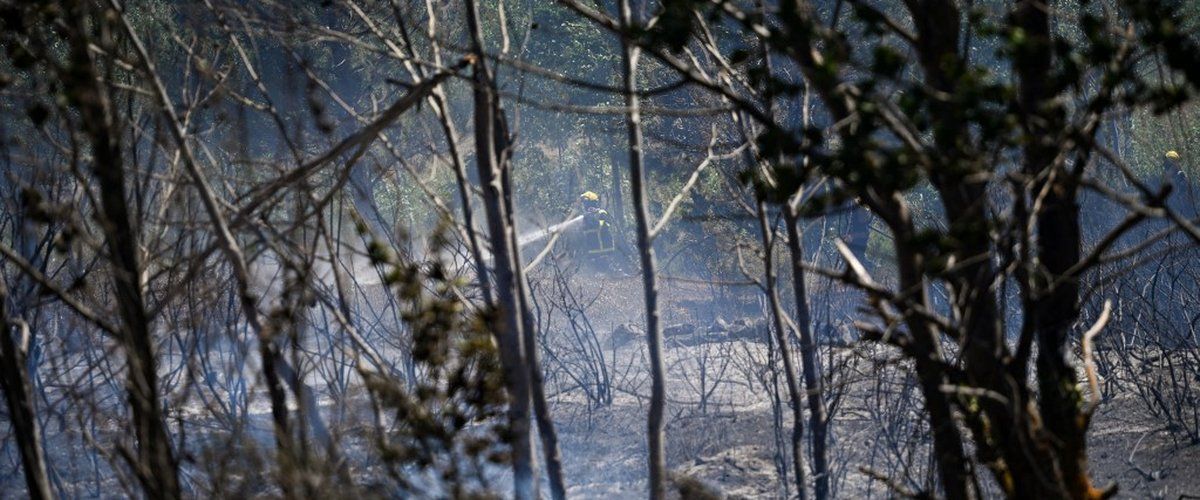 Incendies dévastateurs dans le Sud de la France : la situation s'aggrave