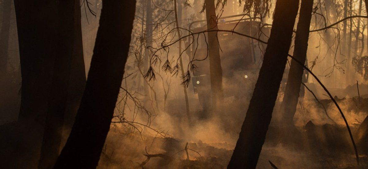 L'alerte rouge s'intensifie : incendies ravagent le Sud de la France
