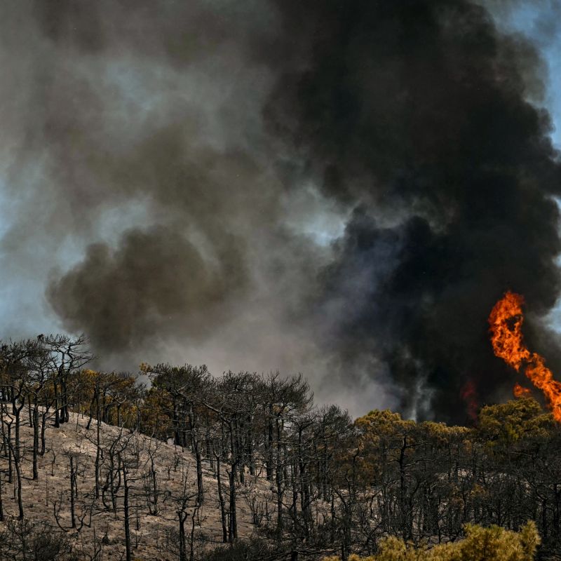 Deux arrestations pour incendies suspects dans le sud de la France