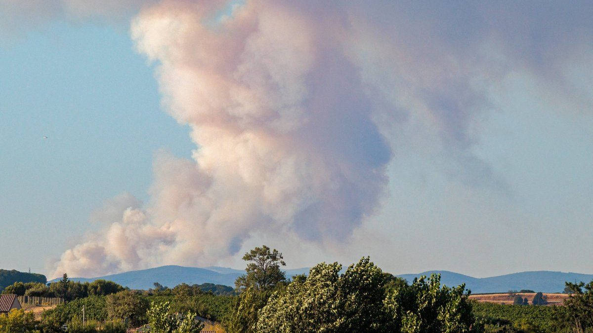 Incendies à Solaize : un homme placé en garde à vue après avoir provoqué plusieurs feux